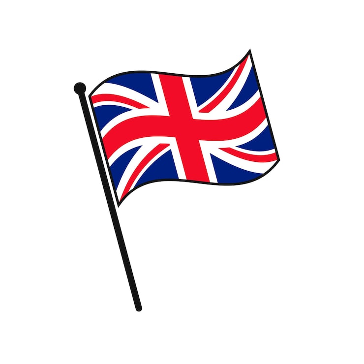 Vecteur icône de drapeau simple