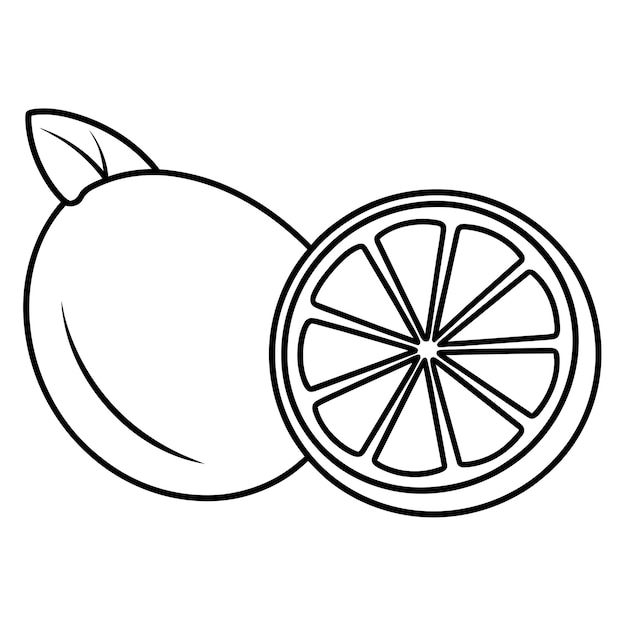 Vecteur illustration d'art vectoriel à la chaux 4
