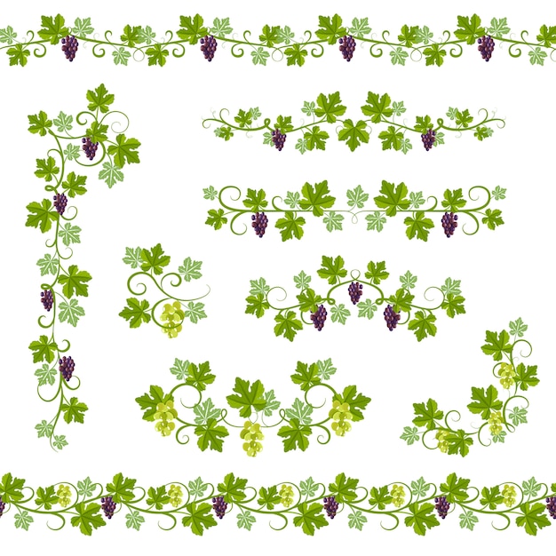 Vecteur seamless pattern vine
