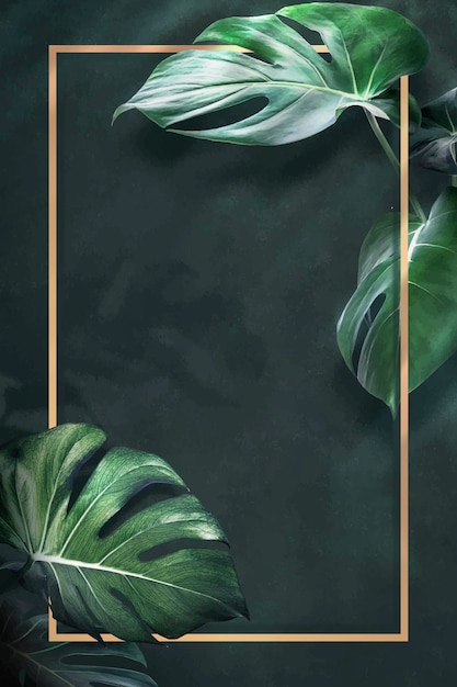 Vecteur vecteur de ressources de conception de cadre de monstera doré rectangle
