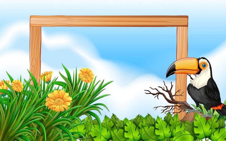 Vector nền khung gỗ toucan