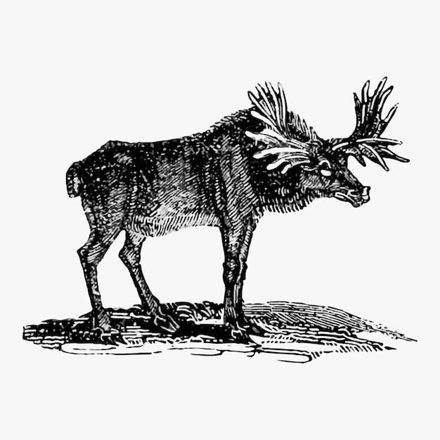 Vector gratuito alces estilo vintage