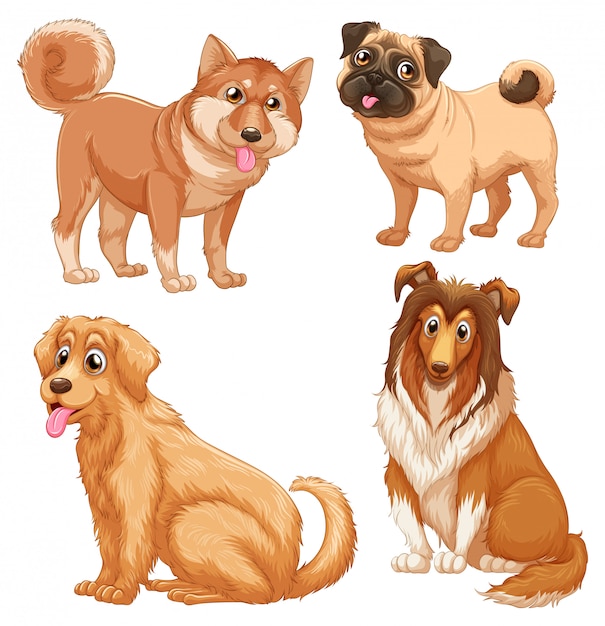Vector gratuito animales