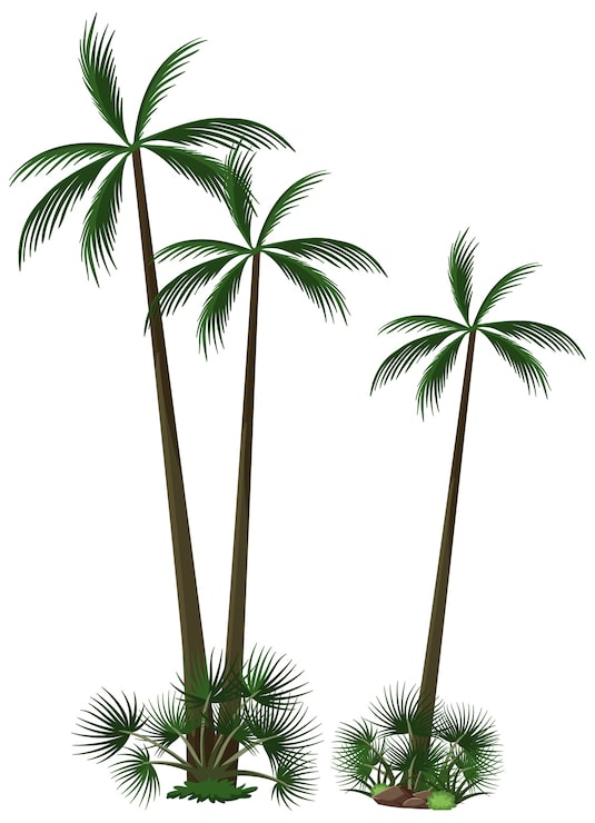 Vector gratuito árbol aislado en blanco