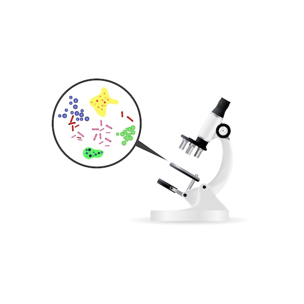 Vector gratuito bacterias bajo microscopio