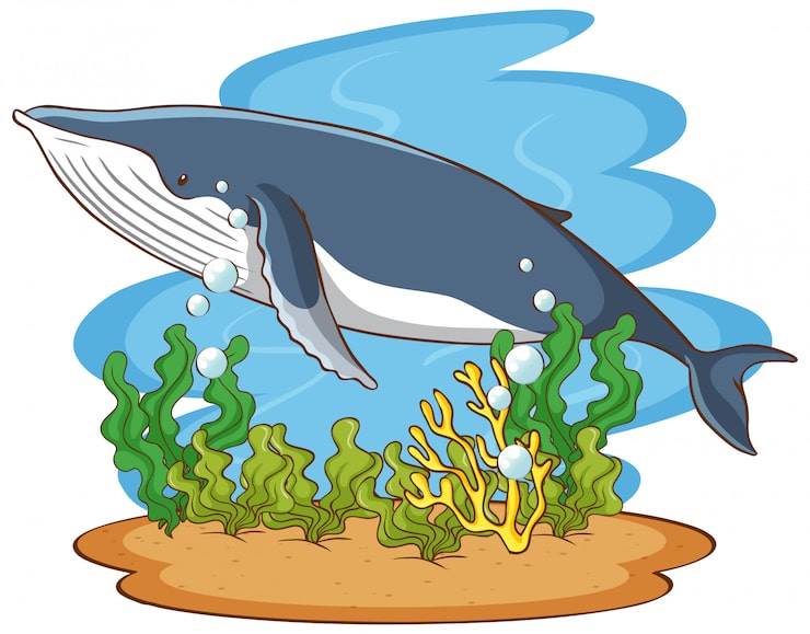 Vector gratuito ballenas nadando bajo el océano