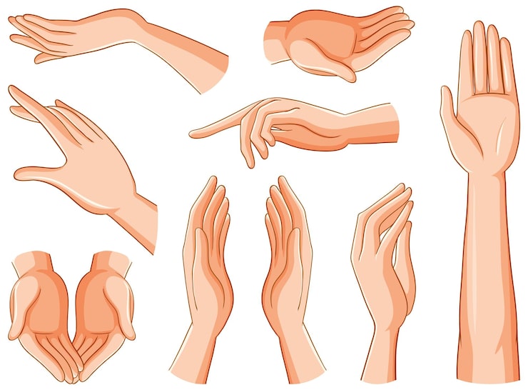 Vector gratuito colección de manos humanas