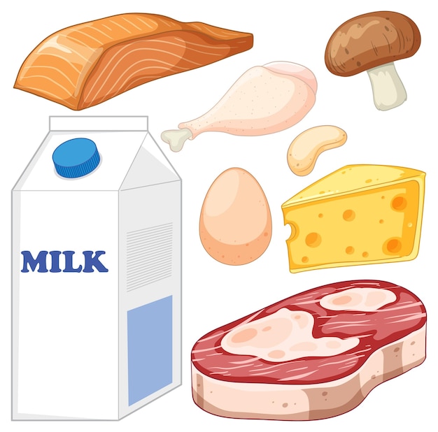 Vector gratuito conjunto de alimentos mixtos