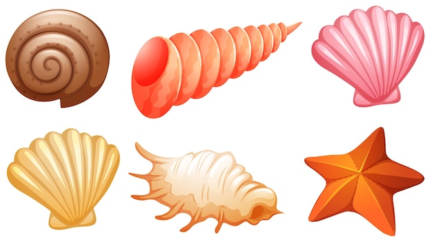 Vector gratuito conjunto de conchas marinas