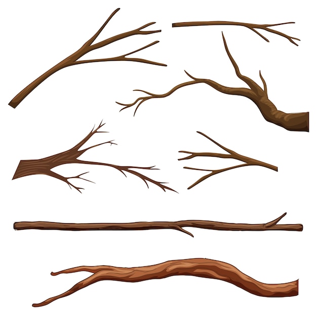 Vector gratuito conjunto, de, diferente, árbol, ramas, aislado