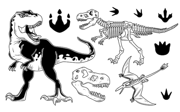 Vector gratuito conjunto de dinosaurios
