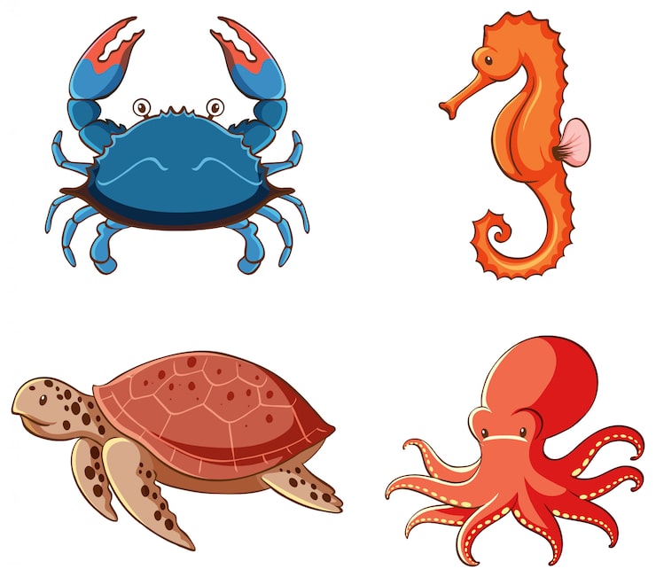 Vector gratuito conjunto de imágenes aisladas de criaturas marinas