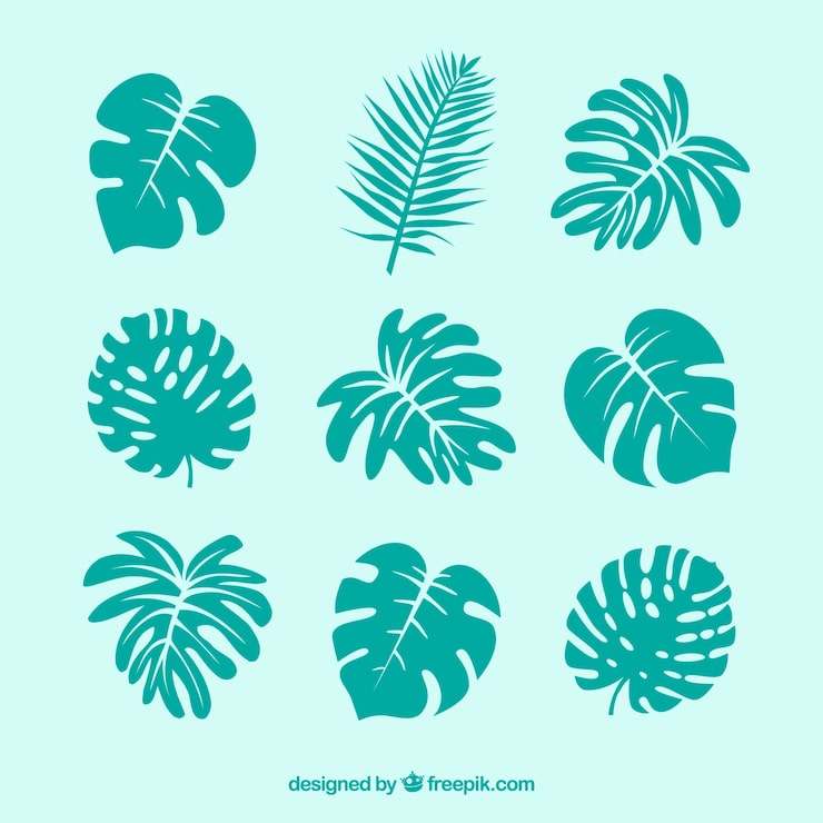 Vector gratuito conjunto moderno de hojas tropicales con diseño plano