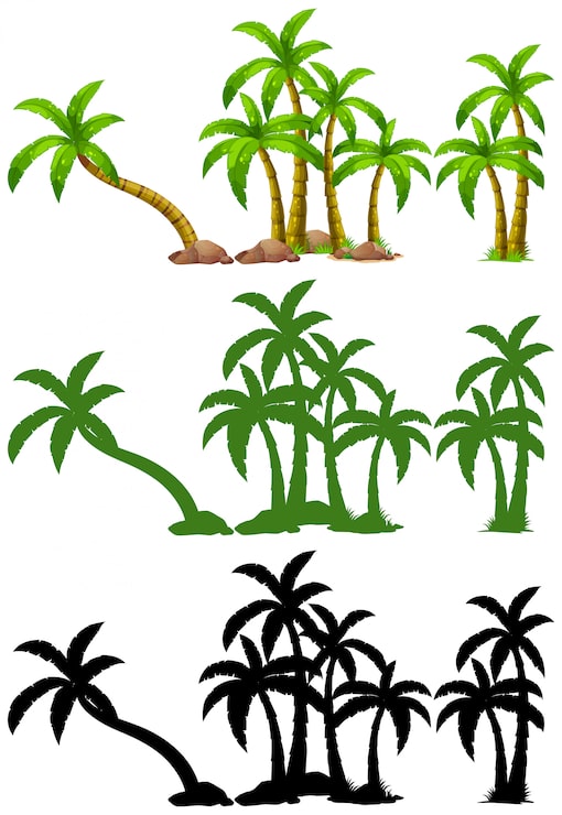 Vector gratuito conjunto de palmera