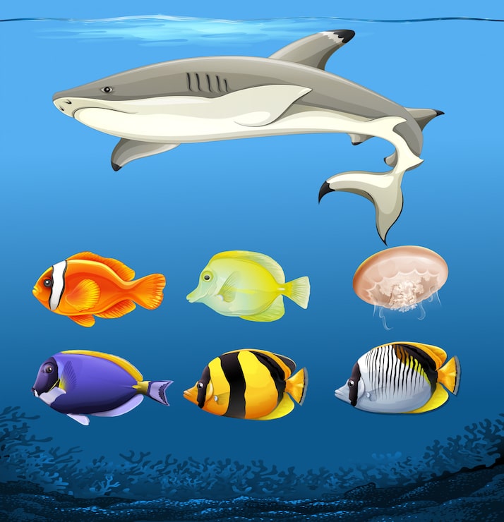 Vector gratuito conjunto de peces bajo el agua