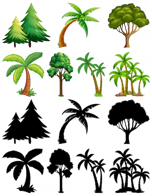 Vector gratuito conjunto de planta y árbol con su silueta.