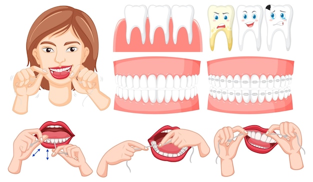 Vector gratuito conjunto de todo tipo de dientes sobre fondo blanco.