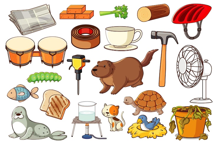 Vector gratuito conjunto de varios animales y objetos.