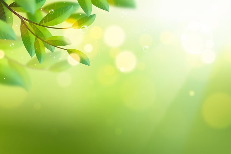 Vector gratuito copiar el espacio bokeh luces de primavera fondo