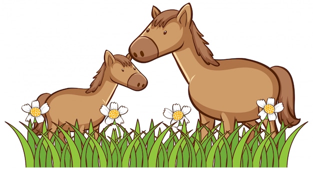 Vector gratuito cuadro aislado de dos caballos