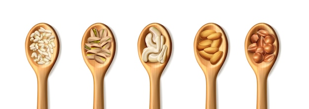 Vector gratuito cucharas de madera con nueces en blanco