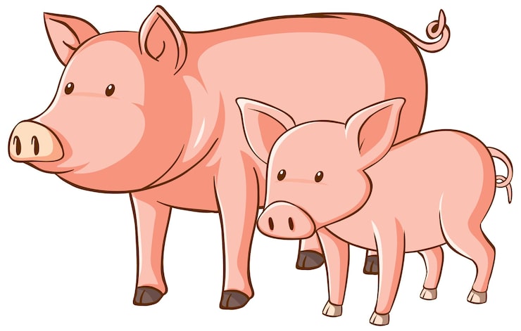 Vector gratuito dibujos animados de cerdos grandes y pequeños sobre fondo blanco