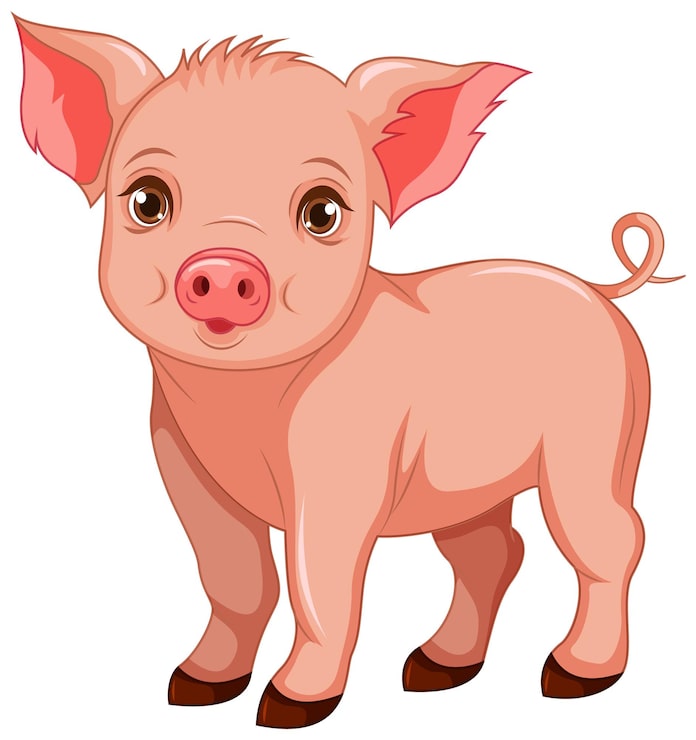 Vector gratuito dibujos animados lindo cerdo aislado
