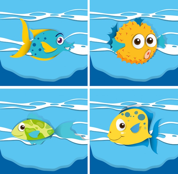 Vector gratuito diferentes tipos de peces