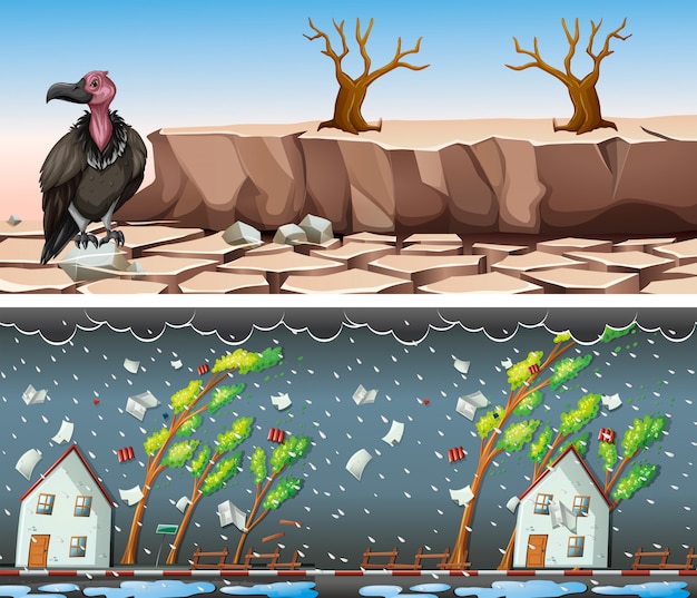 Vector gratuito dos escenas con sequía y tormenta.