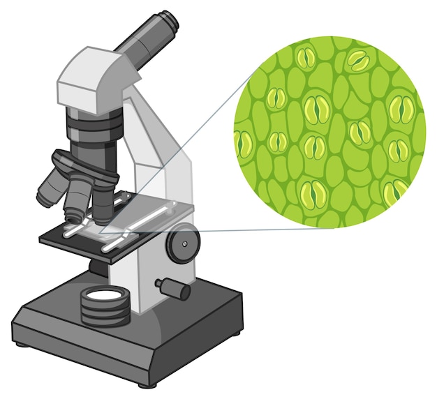 Vector gratuito explorando los estomas observando las estructuras de las hojas de las plantas con un telescopio