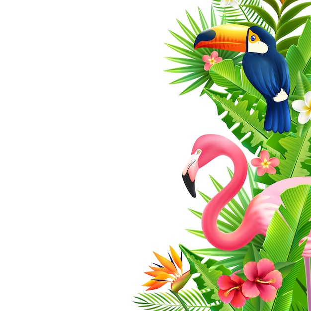 Vector gratuito flamenco selva tropical