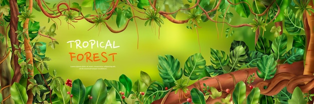Vector gratuito fondo de bosque tropical