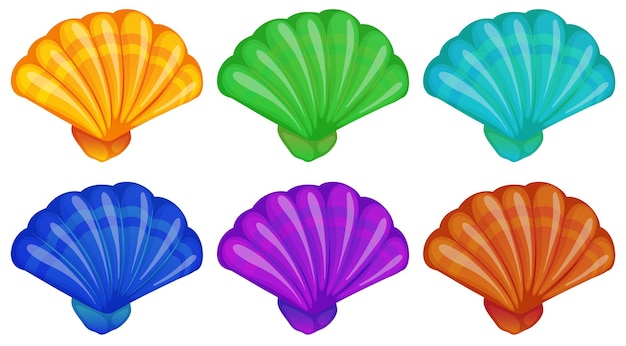 Vector gratuito un grupo de conchas