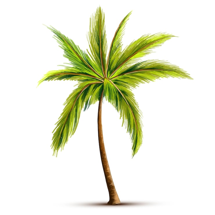 Vector gratuito hermoso diseño de hoja de árbol de coco verde