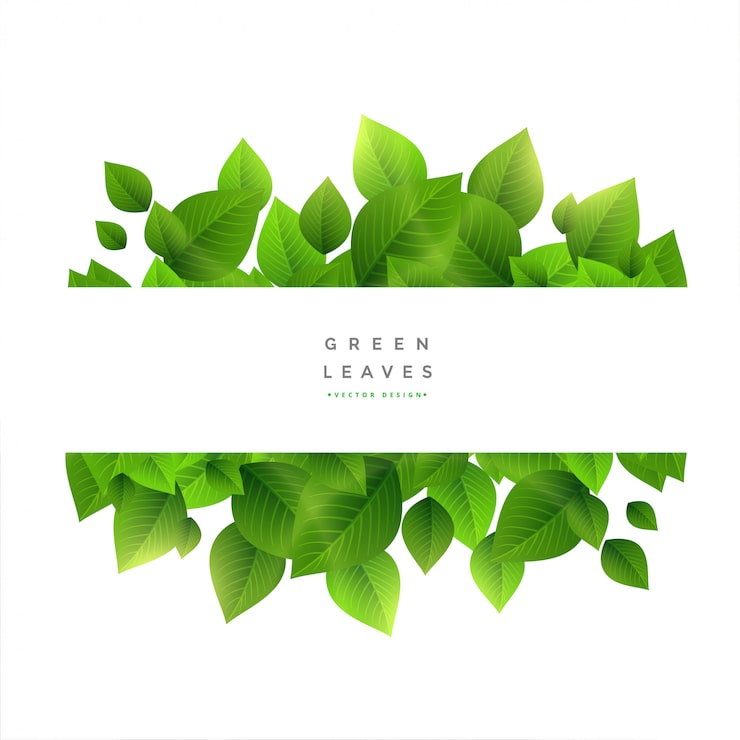 Vector gratuito hojas verdes con estilo con espacio de texto