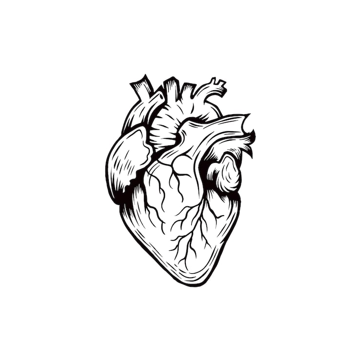 Vector gratuito ilustración de corazón dibujada a mano en blanco y negro
