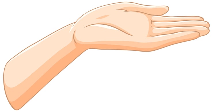 Vector gratuito ilustración del gesto de la mano abierta