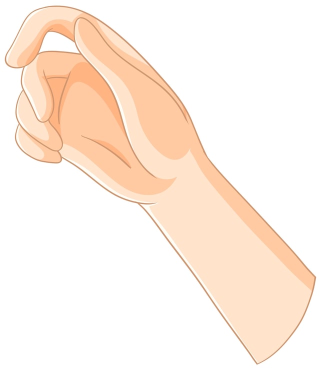 Vector gratuito ilustración del gesto de la mano