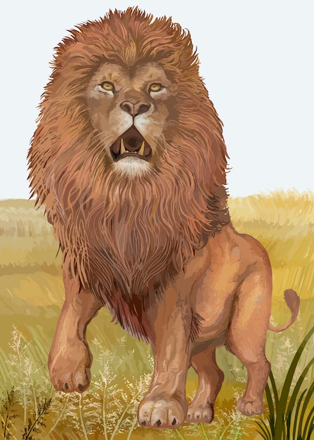Vector gratuito león dibujado a mano