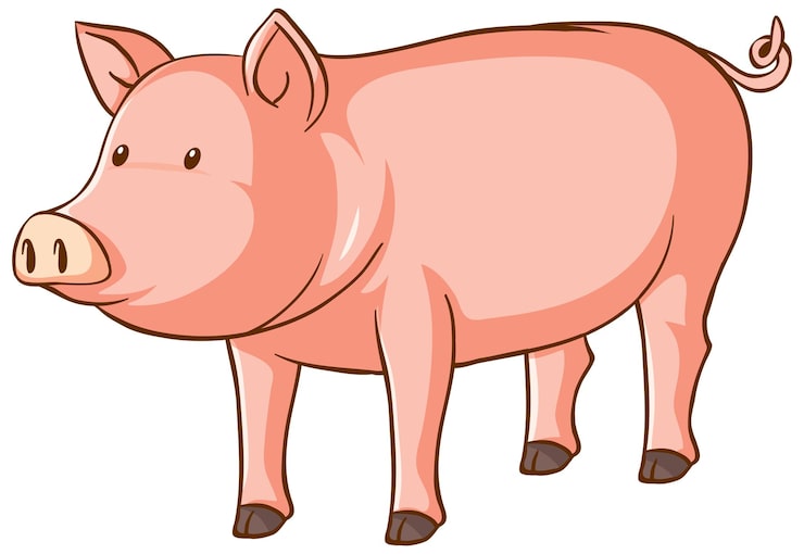Vector gratuito una linda caricatura de cerdo sobre fondo blanco.
