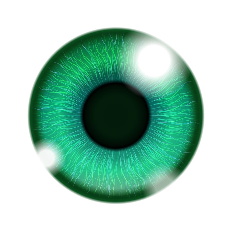 Vector gratuito ojo humano verde aislado