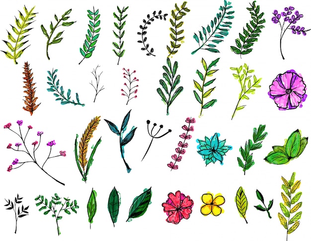 Vector gratuito pack floral en acuarela