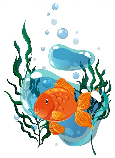 Vector gratuito peces dorados nadando bajo el agua
