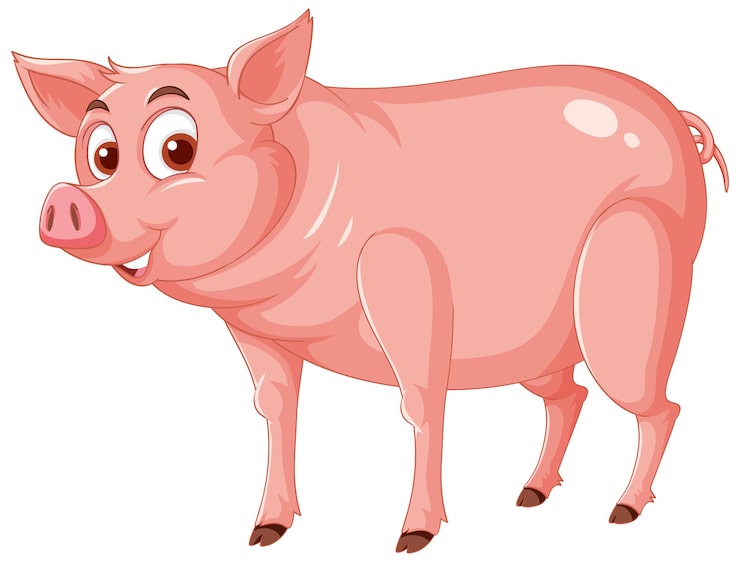 Vector gratuito personaje de dibujos animados de cerdo feliz