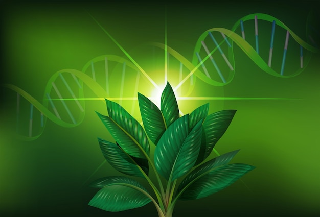 Vector gratuito planta