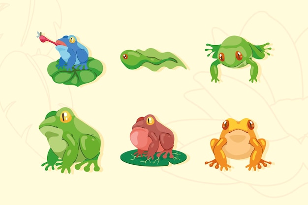 Vector gratuito seis ranas anfibios