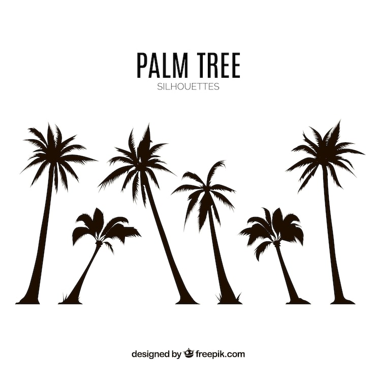 Vector gratuito set de siluetas de palmeras