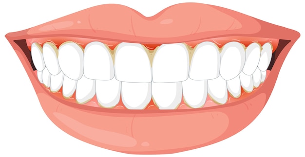 Vector gratuito una sonrisa saludable con dientes blancos