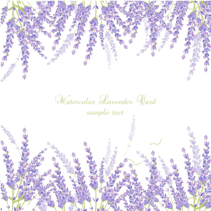 Vector gratuito tarjeta con lavanda de acuarela