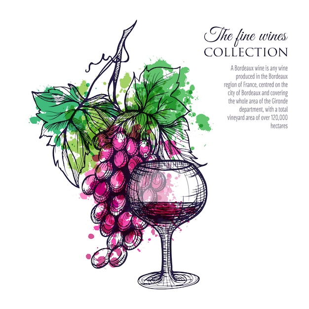 Vector gratuito vino tinto con uva